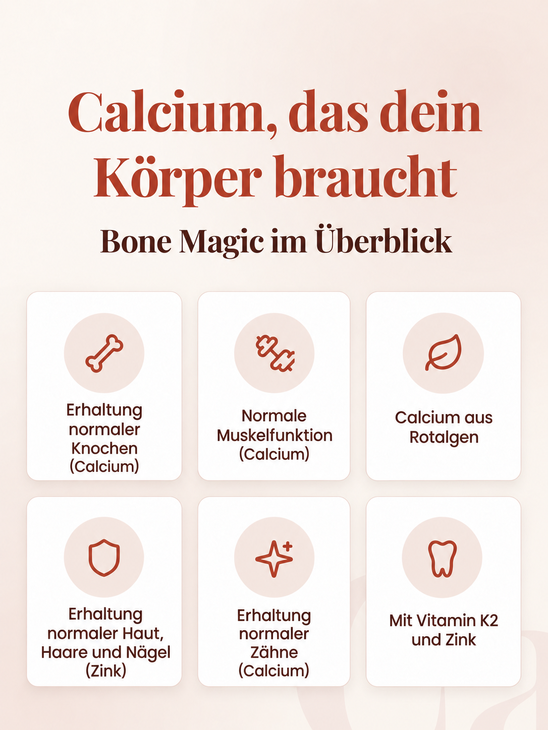 Bone Magic – Vorteile und Produktübersicht