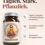 Bone Magic – Anwendung und Dosierung