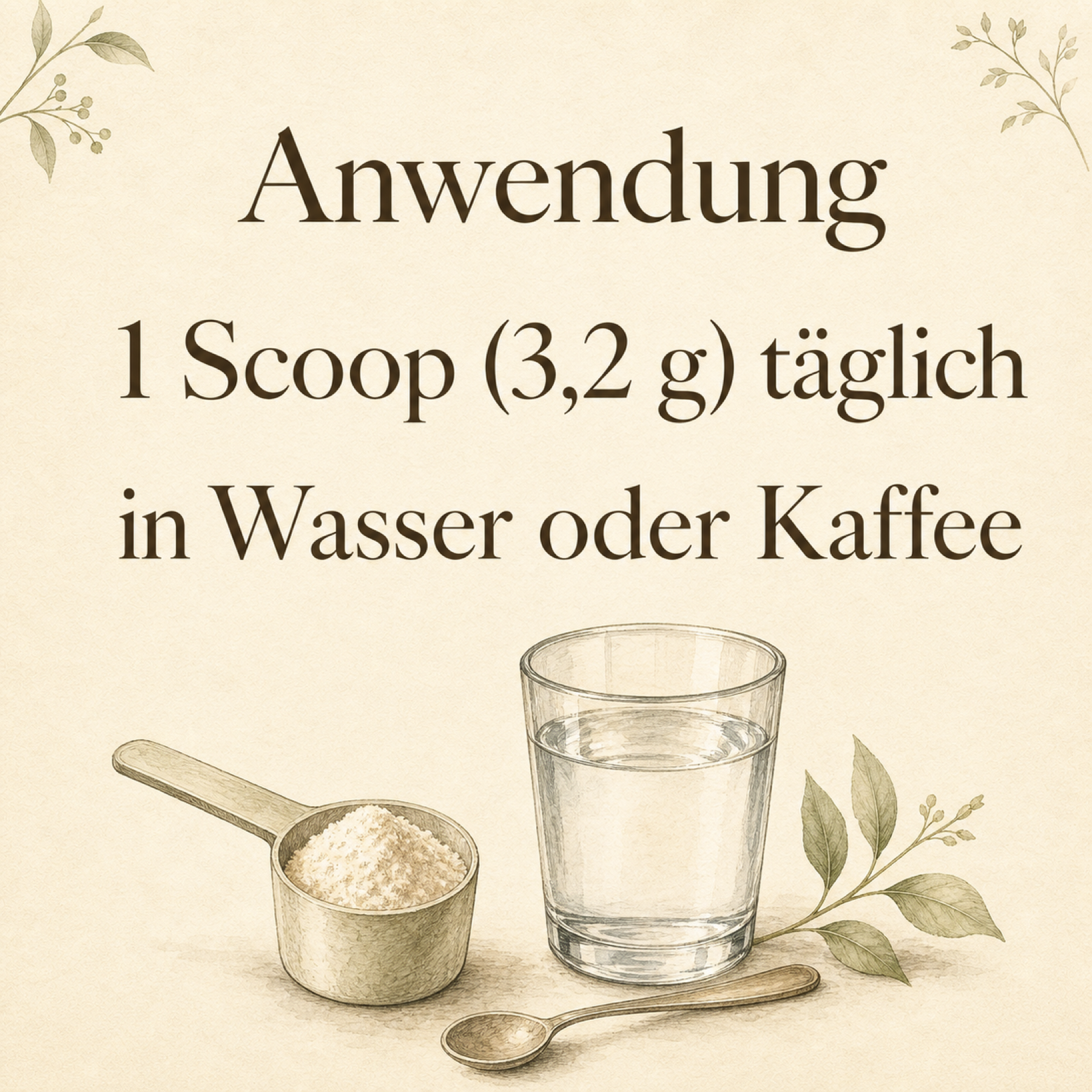 Infografik Anwendung: 1 Scoop (3,2 g) täglich in Wasser oder Kaffee einrühren