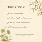 Infografik: Deine Vorteile – 100 % pflanzenbasiert, 2.000 mg Peptide pro Tagesportion, mit Gotu Kola & Bambusextrakt, 30 Tagesportionen pro Dose. Vitamin C trägt zu einer normalen Kollagenbildung für eine normale Funktion der Haut bei.